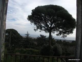 lazzo Riggio Carcaci-05-01-2016 10-08-10